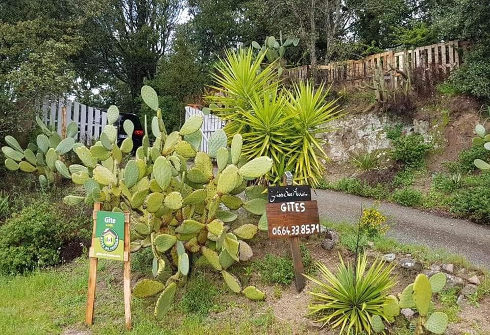 Gites San Austinu Petreto-Bicchisano エクステリア 写真